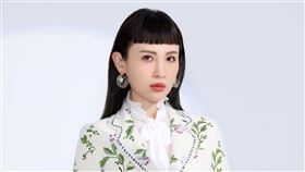 台灣抗疫千日感謝音樂會,魏如萱（圖／文總提供）