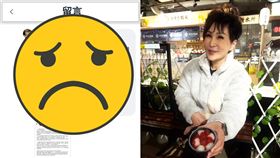 ▲王瑞玲曝光宋逸民拿奉獻金買網軍，遭挺教會網友怒譙「網你媽」。（圖／翻攝自王瑞玲臉書）