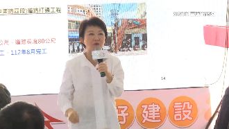 盧秀燕爆想選總統　藍議員：有聽到訊息