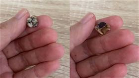 蛤蜊濃湯,牙醫,牙齒,Costco,好市多,豬牙齒（圖／翻攝「Costco好市多 商品經驗老實說」）