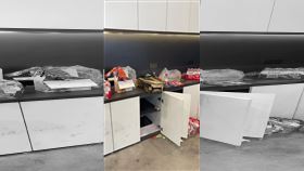 特斯拉，降價，車主抗議，搶光零食(圖／翻攝自不是鄭小康微博)