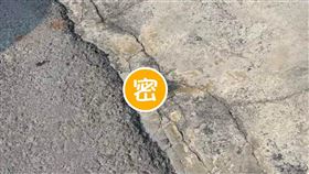 紅蟳,路邊,加菜,海鮮（圖／翻攝自爆料公社）