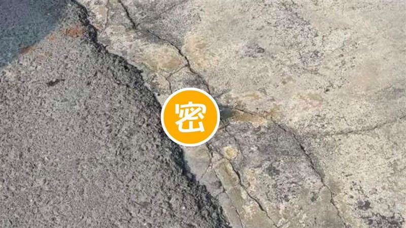 騎士路邊撿到「生猛海鮮」網羨慕：加菜了