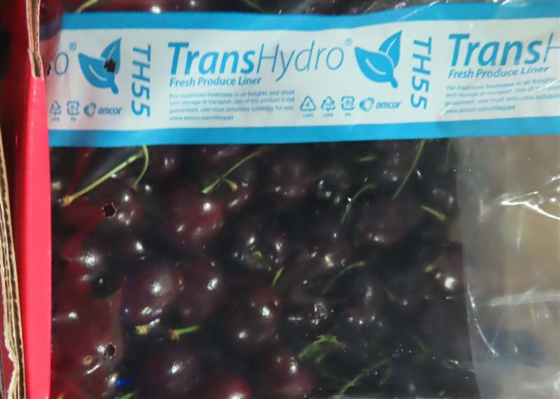 智利因櫻桃過度輸中導致產季大虧，近期更在外交與基礎建設上與北京拉開距離。（圖／資料照）