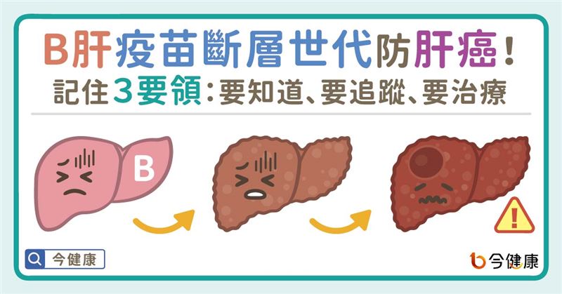 B肝疫苗斷層世代　如何預防肝癌三部曲