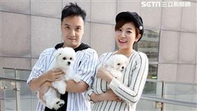 李妍瑾,圤智雨,雪碧