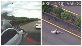 國道3,車禍,肇事逃逸（圖／翻攝畫面）