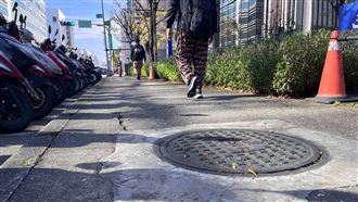 巨蟑入侵九州人孔蓋狂竄出！暴增原因曝光