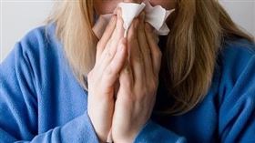 鼻子，噴嚏，感冒，流鼻水，鼻涕（示意圖／翻攝自Pixabay）