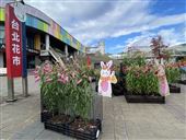 北花市春節檔期開跑　連續108小時不打烊