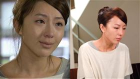 隋棠,詐團圓,詐騙