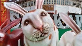 印尼，新年，巨兔　吉祥物詭異神情超嚇人　網吐槽：進擊巨兔
圖／翻攝自Zoom Creative 創意窩臉書