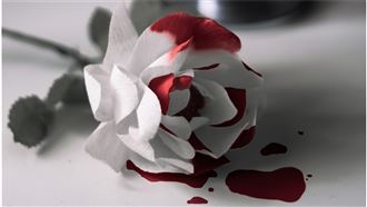 痔瘡若輕忽而不醫治　嚴重恐造成生命危險