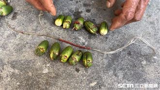 路邊「檳榔陣」別亂碰　祭師：有人嘴歪掉