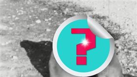 （圖／翻攝自@GSchnakenberg推特）