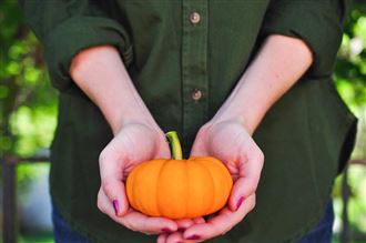 南瓜其實是水果？抗疫吃南瓜營養好處多！