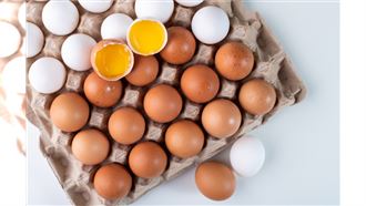 這種蛋膽固醇最高！營養師教你聰明吃蛋