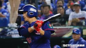 ▲世界棒球12強賽台灣中華隊林立。（圖／記者林聖凱攝影）