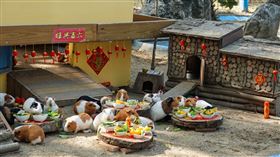 台南,頑皮世界,春節,天竺鼠,流水席之亂,年味,遊樂設施,5折