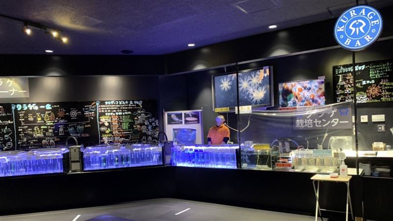 悲傷曬員工凝視空氣照　日水族館入館0人