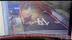 ▲身揹5條通的曾嫌(紅圈)，近日鎖定博愛特區周邊，揹著側背包，侵入民宅行竊。（圖／翻攝畫面）