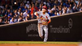 ▲Tommy Edman。（資料照／取自聖路易紅雀FB）