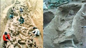 古代,殉葬,皇帝,妃子