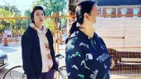 加拿大,小龍女,成龍,Andi,吳綺莉,吳卓林,過年