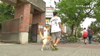 帶導盲犬搭公車　遭司機質疑「非視障者」