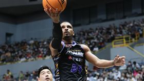 雲豹艾夫伯。（圖／桃園雲豹提供）