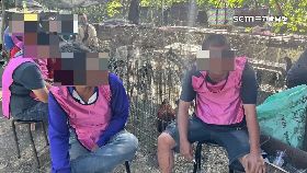 R鬥雞場賭博2400