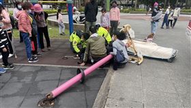 新北市,永和區,區公所,上肢牽引器,公園,斷裂,骨折（圖／翻攝畫面）