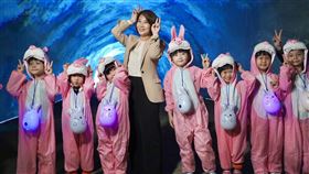 屏東燈節盛大點燈　年節賞燈走春首選（業配勿用）