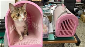 錦繡站站長出面回應。（圖／翻攝自我們是新店人!!好山好水，就是愛新店 臉書）