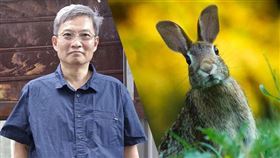 章定煊,兔年。（合成圖／記者陳韋帆攝影,翻攝自pexels）