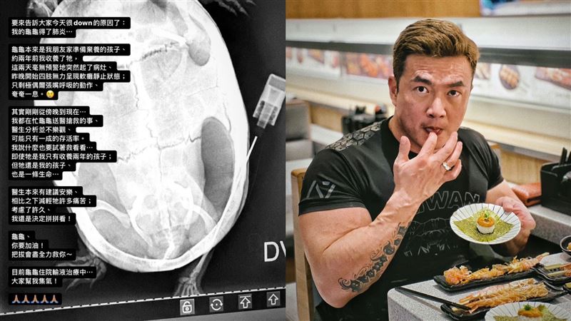 李沛旭爆「龜龜沒反射動作」宣告搶救無效