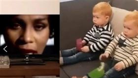 翻攝自豆瓣電影、Babiesmata　ig、惠妮休斯頓YT、桃莉巴YT