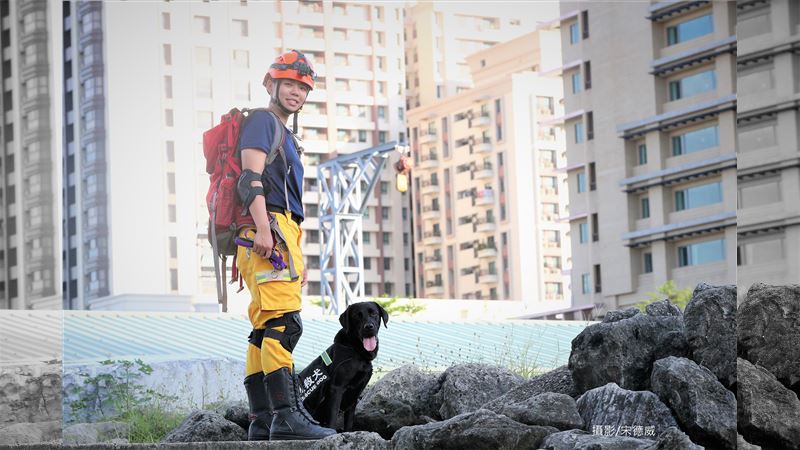高雄|搜救犬「巧克力」覓新家　新爸霸氣送20萬飼料：下半生由我來照顧 | 社會 | 三立新聞網  SETN.COM