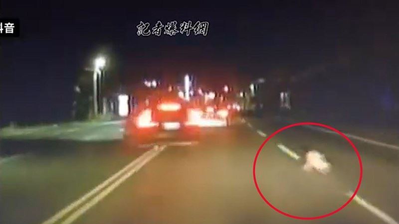 1歲童深夜暴衝大馬路　休旅車急切嚇破膽