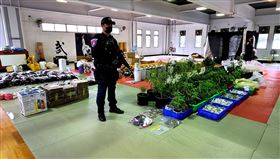 花蓮警查獲2處大麻場！市價破2000萬元　新任局長宣示：維護花蓮穩定