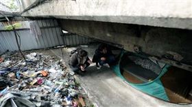 三重橋墩,穴居人,大橋下,林毓峯,重新大橋,地瓜葉,捕鼠籠,衛浴間,儀式感,垃圾山,公廁,抄家