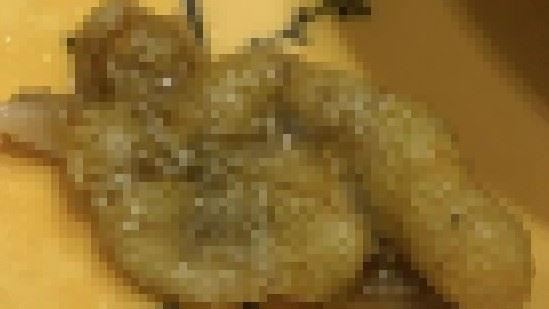 她喊螺螄粉進口也不敢吃！蟲卵事件噁圖曝