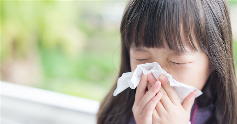 打噴嚏、流鼻水　是感冒還是鼻過敏？