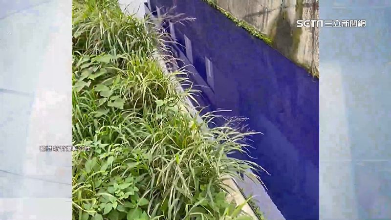 台版「藍色多瑙河」　新竹水圳變藍揪禍首