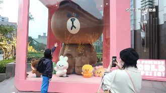 4米高超萌熊大來了　粉絲朝聖101打卡拍照