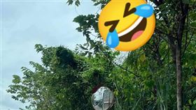 他問路遭回「看到奶罩左轉」！結局神展開（圖／翻攝自爆廢公社公開版）