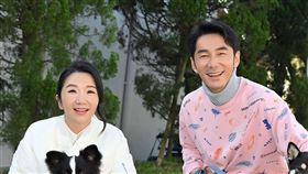 陶晶瑩、李李仁（圖／台視提供）