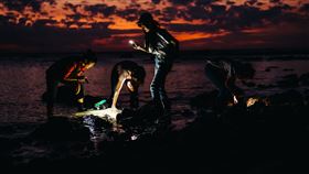 屏東海生館邀大家看「海中的兔子」過好年（業配勿用）