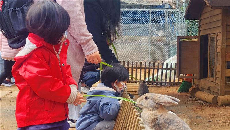 迎兔年！初一到初八埔心牧場門票特價150