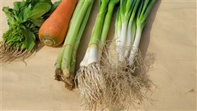 兔年,蔥蒜芹菜,過年,好寓意,好彩頭